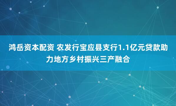 鸿岳资本配资 农发行宝应县支行1.1亿元贷款助力地方乡村振兴三产融合