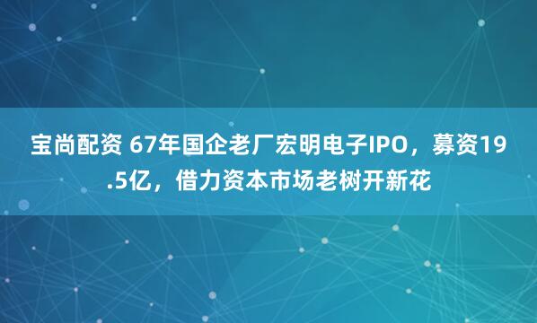 宝尚配资 67年国企老厂宏明电子IPO，募资19.5亿，借力资本市场老树开新花